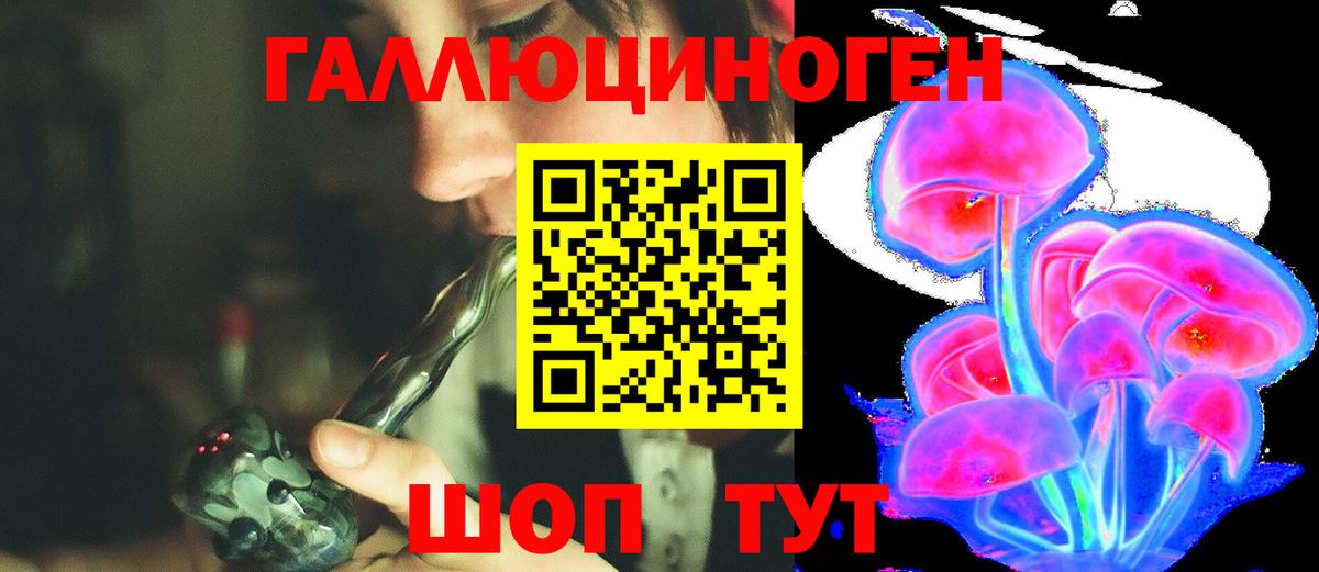 Галлюциногенные грибы Cubensis  купить наркоту  Хабаровск  Вход с VPN  Галлюциногенные грибы Magic Shrooms 